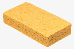 Sponge Transparent Png