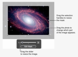 A Photo Being Masked, With Selection Handles On The - Photograph