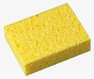 Yellow Sponge Amazon