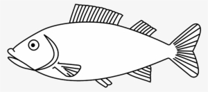 Water, Outline, White, Fish, Animal, Sea, Fishes - Fish Coloring Page