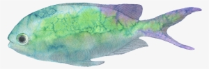Este Gráficos Es Green Small Fish Hand-painted Watercolor - Watercolor Painting