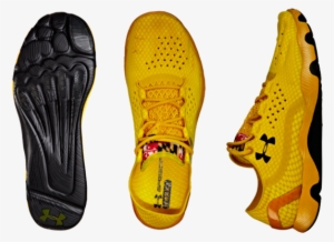 Shoe