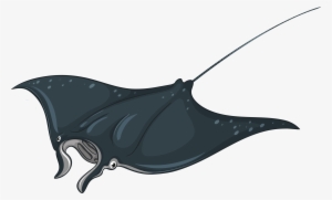 Skate Fish Png Clipart - Stingray Clipart