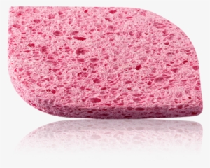 Pink Face Sponge 524ab78f1aadc - Pink Sponge Png