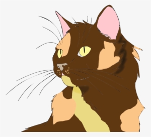 Ricochet - Cat Yawns