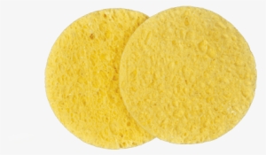 Facts On Cellulose Sponges Manufacturers - Cookie