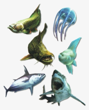 Mh3-fishes - Monster Hunter Tri Monster