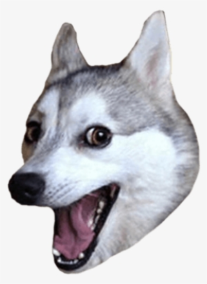 Photo Editor & Meme - Punchline Dog