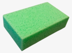 Sponge Png
