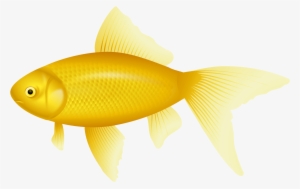 Yellow Fish Png Clipart - Yellow Fish Png