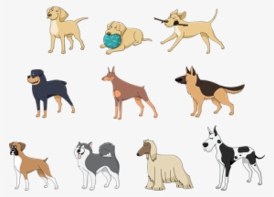 Animals Pets Dog Afghan Hound Boxer Doberm