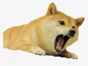 Doge Transparent Png - Transparent Doge