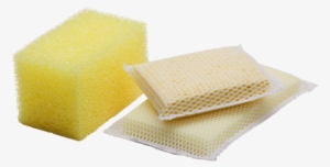 Foam
