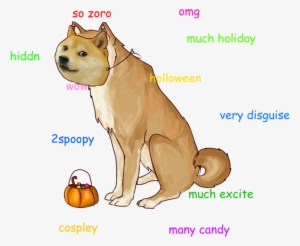 Yolo Source - Doge