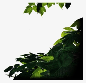 The Last Of Us Render Comments - Last Of Us Render