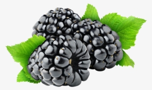 Free Png Blackberry Png Images Transparent - Black Berry Fruit Png