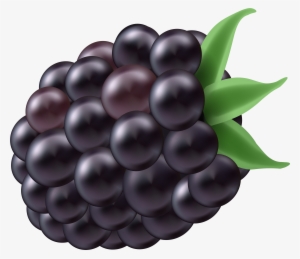 Blackberry