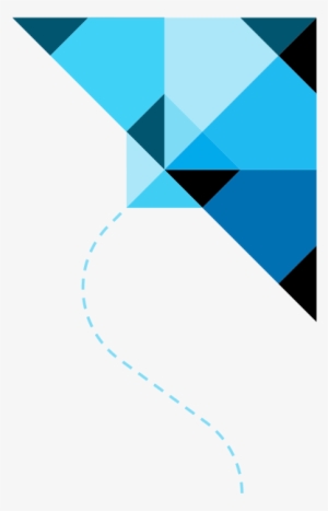 About Insight Professional Affiliations - Blue Kite Png