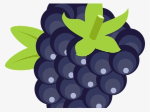 Blackberry Fruit Png Transparent Images - Blackberry Fruit Icon Png