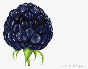Blackberry Clipart Blackberry Fruit - Clip Art