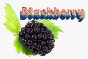 Blackberry Png Clipart - Portable Network Graphics