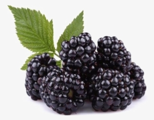 Blackberry Fruit Png Free Download