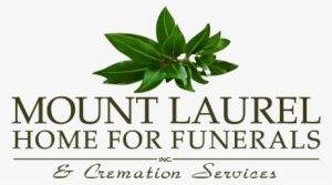 Carmella Greene About - Long Hill Montessori School