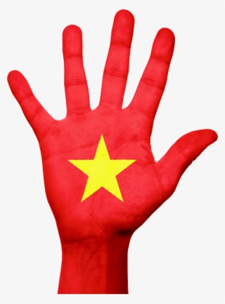 Vietnam Flag Png