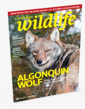 Canadian Wildlife Magazine Cover Subscribe Button - Biosphere