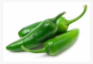 Jalapeno Pepper