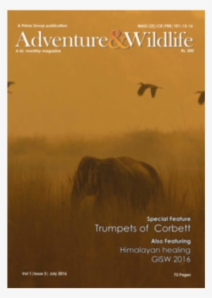 Magazine Cover Pictures - Magazine