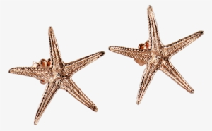 Sea Star Large Stud Earrings - Sea Star Earrings