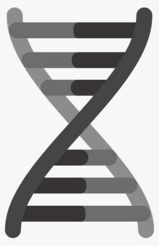 Dna Png, Download Png Image With Transparent Background, - Mutação Genética