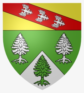 Blason Vosges - Saint-nicolas-de-port