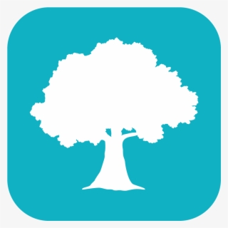 Willow Oaks Stories & Songs App Prototype Icon - Illustration