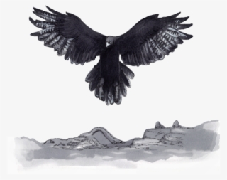 The Portfolio Has A Well-structured Allocation To All - Eagle