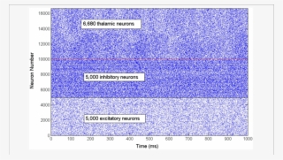 A Rastergram Illustrates The Asynchronous Firing Activity - Neuron