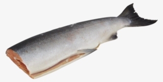 Wild Pacific King Salmon Vital Choice - Pacific Wild