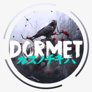 Click Me To Download - African Grey