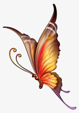 110795351 Large 0 A3e96 558d1632 Xl Butterfly Pattern, - Butterfly Images For Drawing With Colour