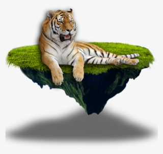 Tiger Png 17, Buy Clip Art - Moorea