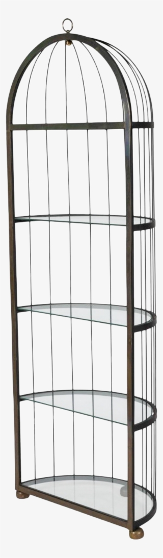 Shelf