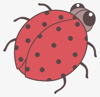 Bug At Getdrawings Com - Cute Bugs Drawing Png