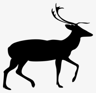 Stag Clip Art