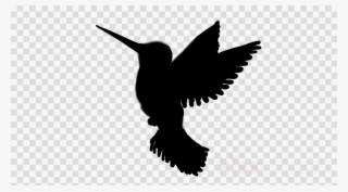 Download Hummingbird Silhouette Png Clipart Hummingbird - Black And White Graphic Satellite