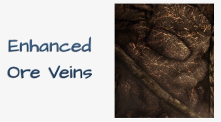 Straight Donations Accepted - Tree