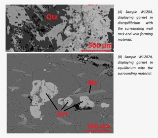 Backscatter Images Of Representative Garnets In A Large - Poster