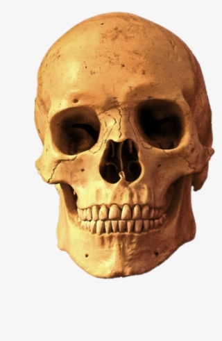 Skull Png Images