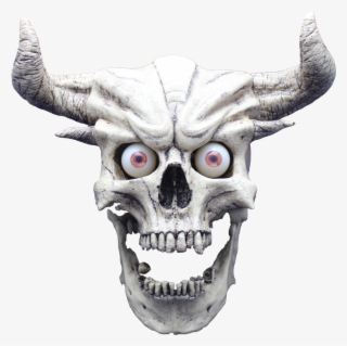 Skull Without Jaw Png - Skull