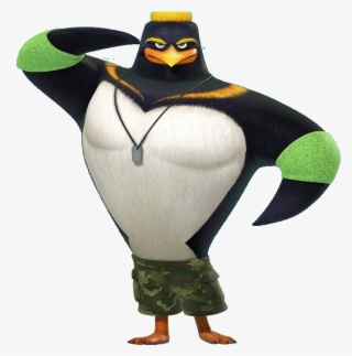 Snap John Cena Surf S Up Wiki Fandom Powered By Wikia - Surfs Up John Cena